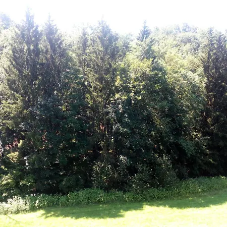 Ferienwohnung Konig
